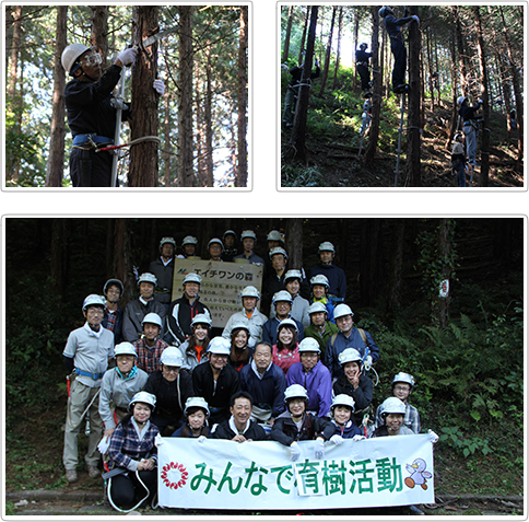 埼玉　第7回森づくり活動の様子